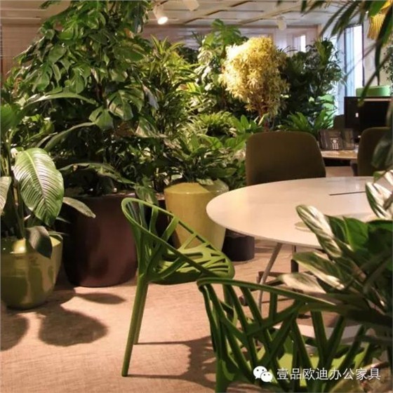 為什么辦公室里一定要養(yǎng)植物？-壹品歐迪辦公家具