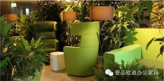 為什么辦公室里一定要養(yǎng)植物？-壹品歐迪辦公家具