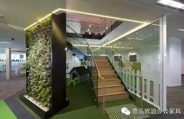 為什么辦公室里一定要養(yǎng)植物？-壹品歐迪辦公家具