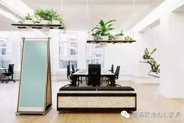 為什么辦公室里一定要養(yǎng)植物？-壹品歐迪辦公家具