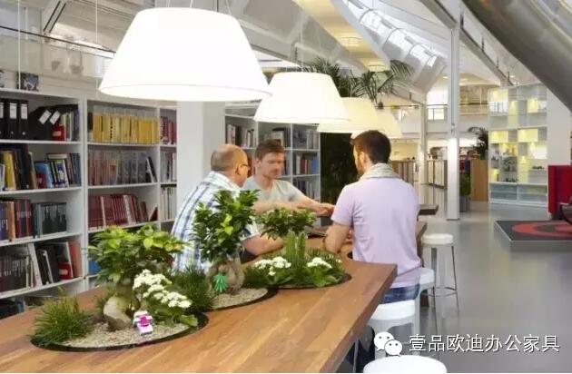 為什么辦公室里一定要養(yǎng)植物？-壹品歐迪辦公家具